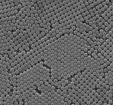Latex Beads