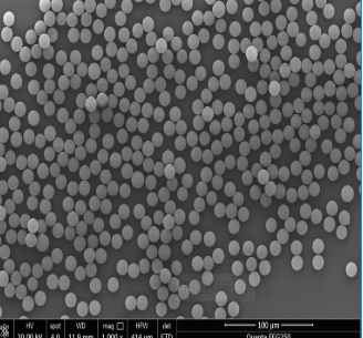 HLB Magnetic Beads