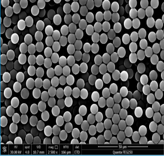 NHS Magnetic Beads