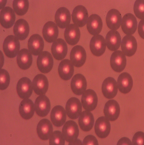 Light Diffusion Microspheres