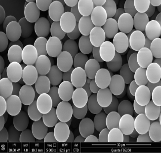 MagSA magnetic Beads