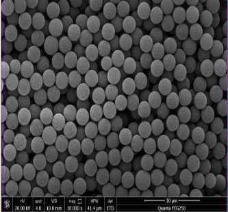 Epoxy Magnetic Beads